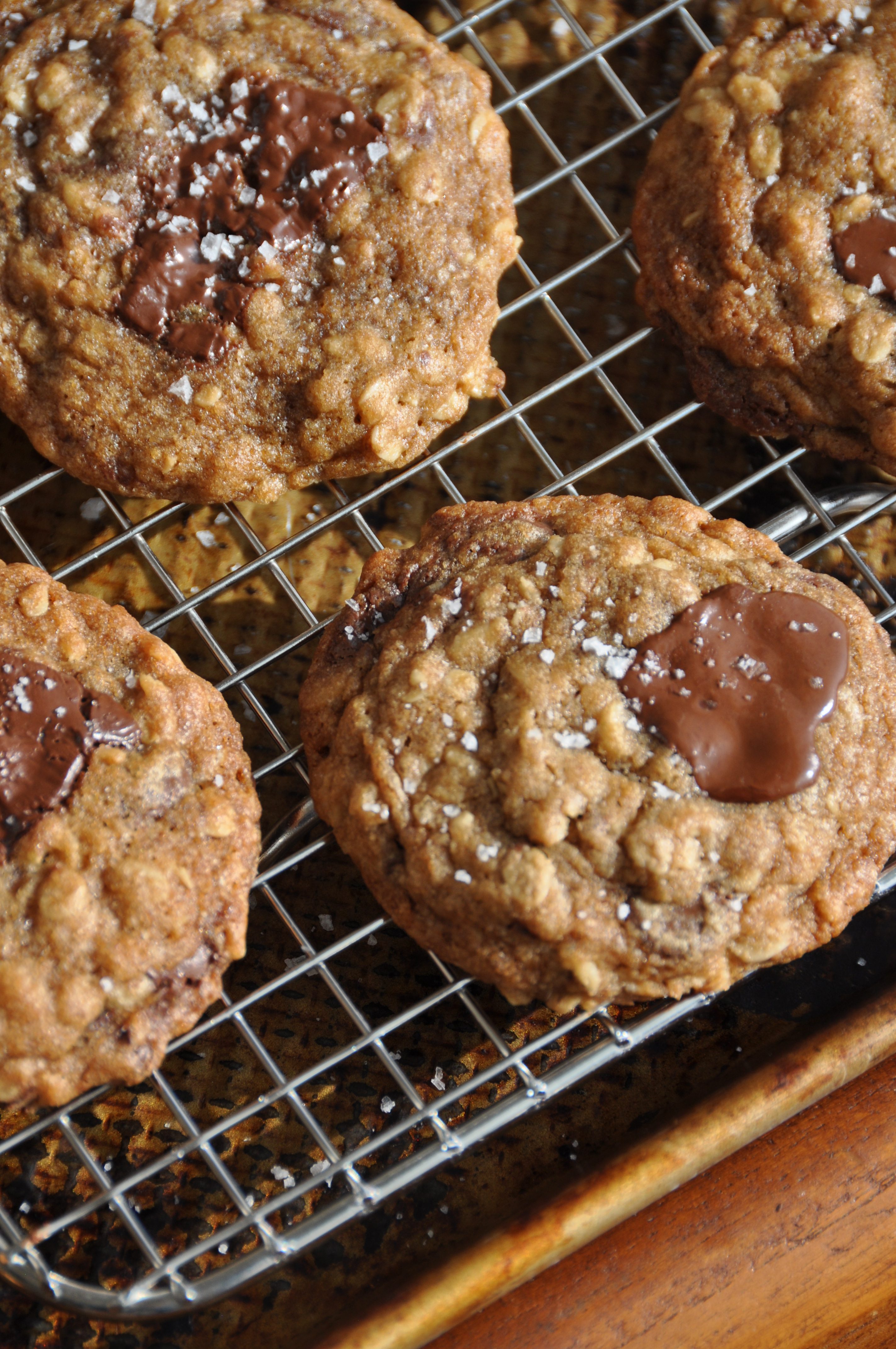 Chocolate Chunk Oatmeal Cookies