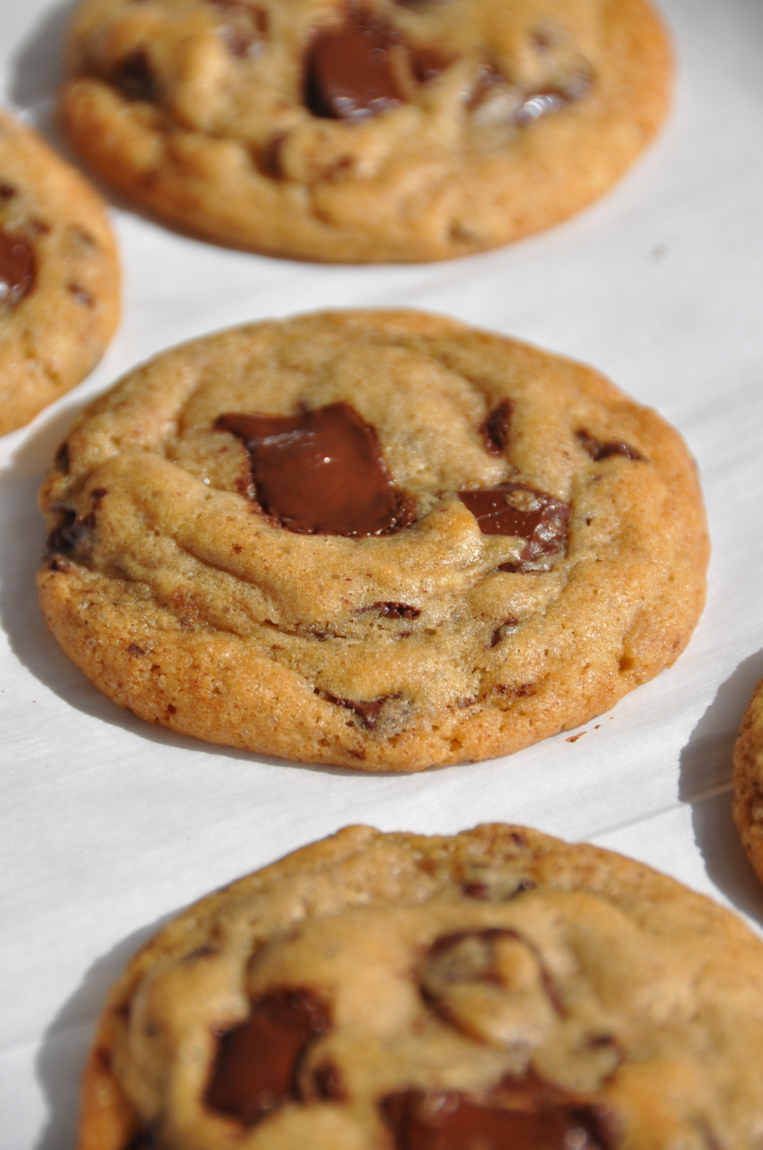 Brown Butter Chocolate Chip Cookies