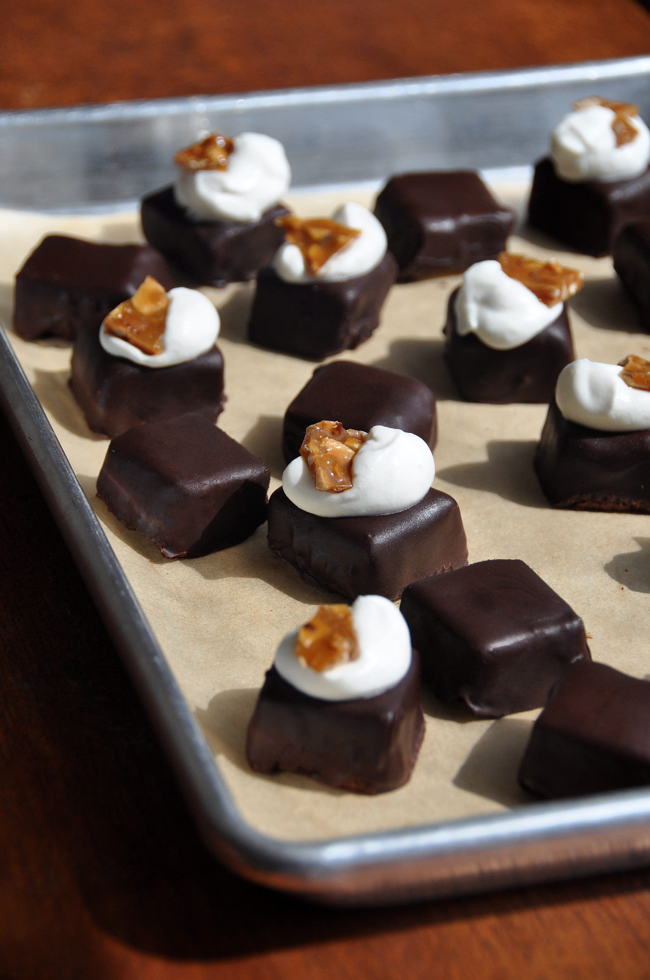 Chocolate Covered Cheesecake Bites
