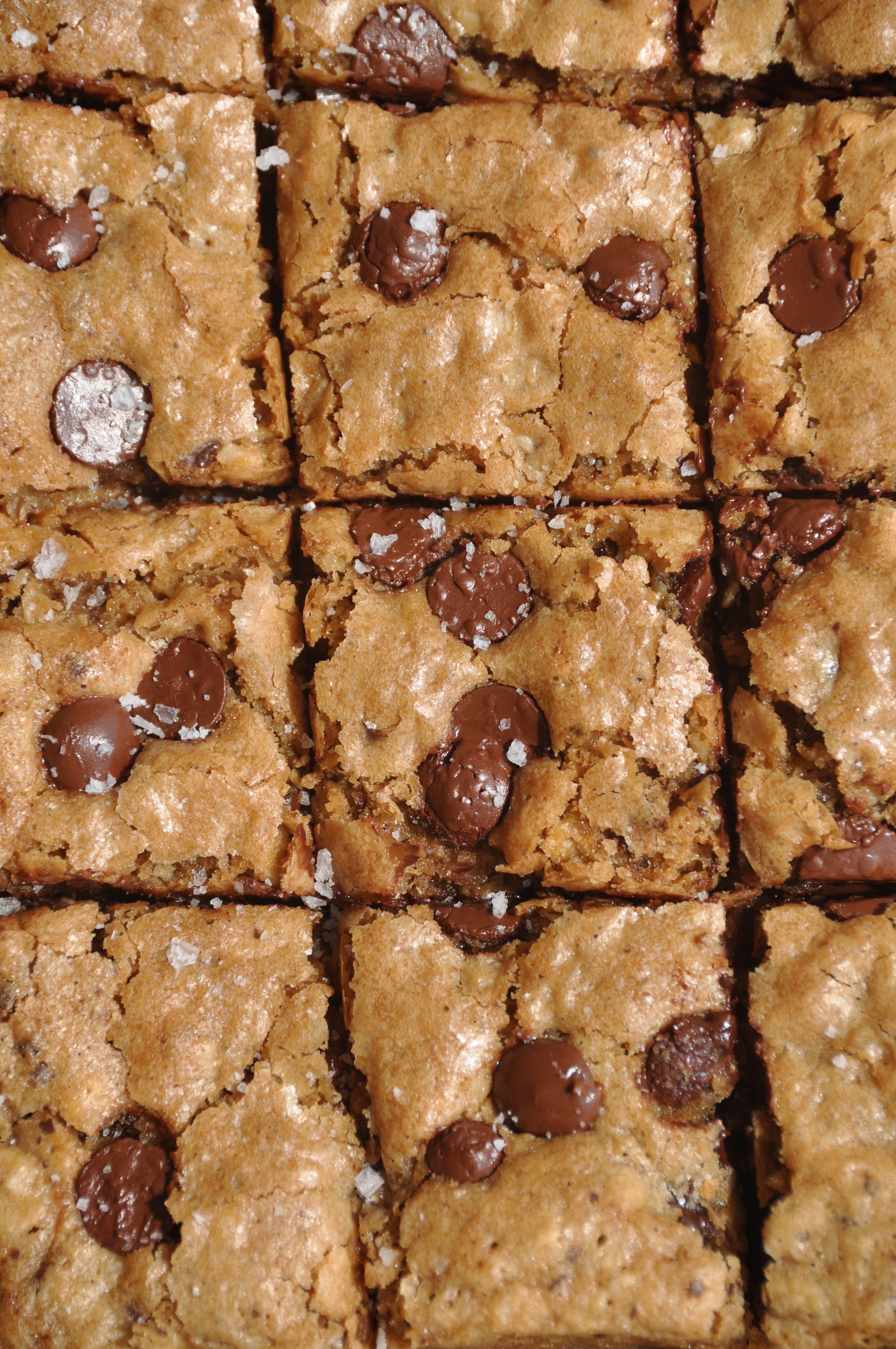 Coconut Oatmeal Blondies